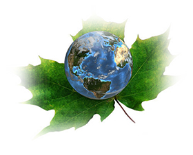 Logo Medio Ambiente