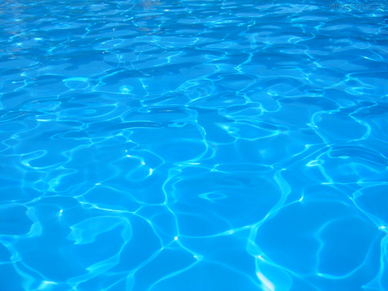 Apertura Piscina Climatizada