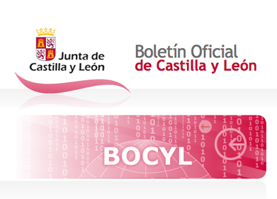 BOCYL/ SUBVENCIONES/ Convocatorias