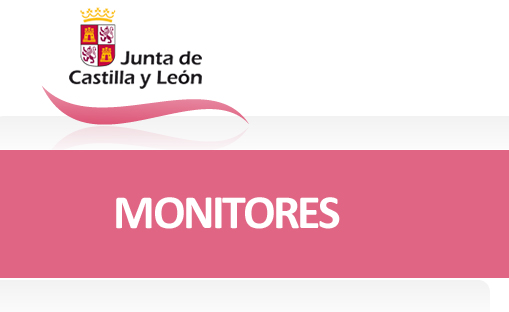 SE BUSCAN MONITORES