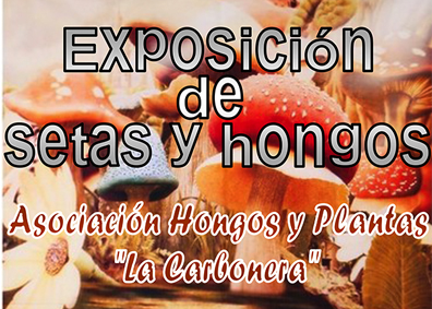 Exposición Setas y Hongos